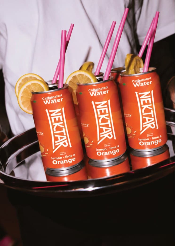 Cans of Nektar lemon-lime & orange with pink straws and lemon slices in an ice bucket